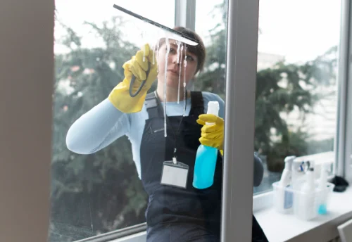 Nettoyage de vitres intérieures et extérieures à Monlet